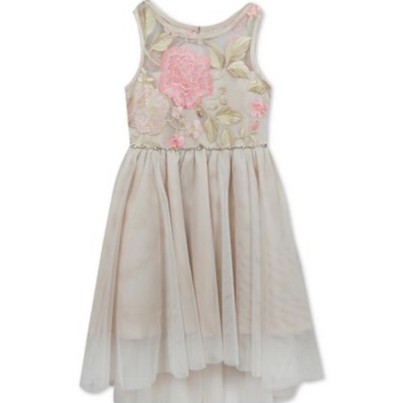 rare editions embroidered dress